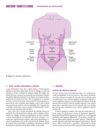Imagem de Livro - Ginecologia e Obstetrícia