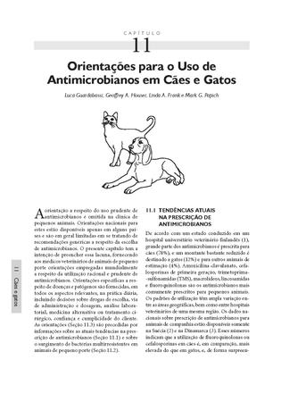 Imagem de Livro - Guia de Antimicrobianos em Veterinária