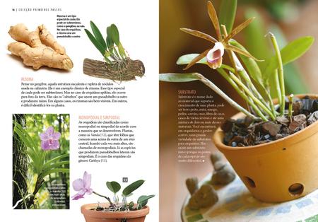 Imagem de Livro - Guia Prático de Orquídeas 1 - Regras Básicas