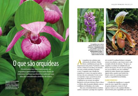 Imagem de Livro - Guia Prático de Orquídeas 1 - Regras Básicas