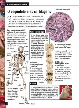 Imagem de Livro - Minha Primeira Enciclopédia - Anatomia do Corpo Humano