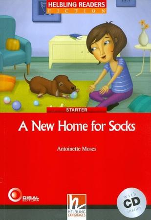 Imagem de Livro - New home for socks - Starter