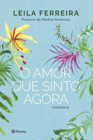 Imagem de Livro - O amor que sinto agora