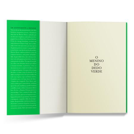 Imagem de Livro - O menino do dedo verde