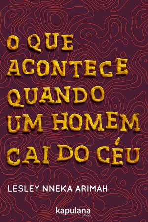 Imagem de Livro - O que acontece quando um homem cai do céu