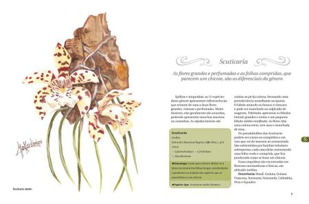 Imagem de Livro - Orquídeas - O guia indispensável de 101 gêneros de A a Z - Volume 6