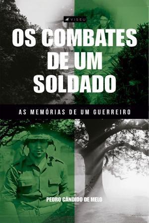 Livro - O encostamento de ex-militares temporários do exército brasileiro -  Viseu - Outros Livros - Magazine Luiza