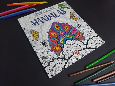 Livro para pintar Mandalas Antiestresse Todo Livro - Livro de Colorir -  Magazine Luiza