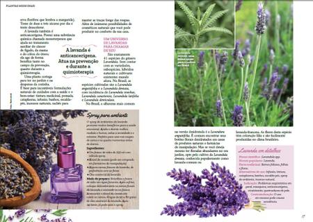 Imagem de Livro - Plantas Medicinais Volume 2: Receita para Reduzir a ANSIEDADE