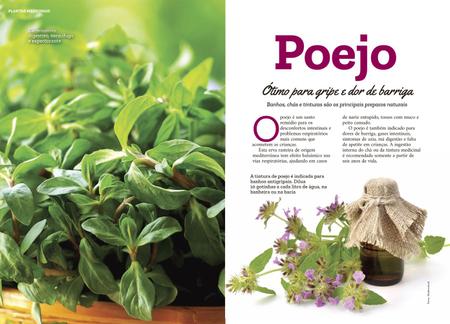 Imagem de Livro - Plantas Medicinais Volume 8: Receitas para a SAÚDE DA CRIANÇA