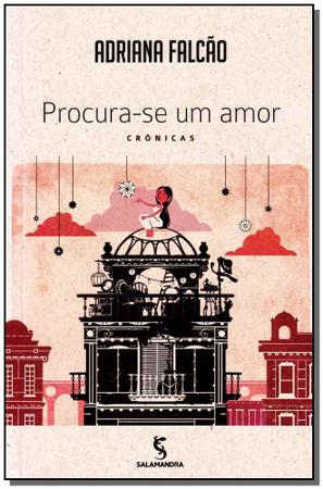 Imagem de Livro - Procura-se um amor