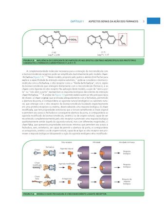 Imagem de Livro - Química Medicinal