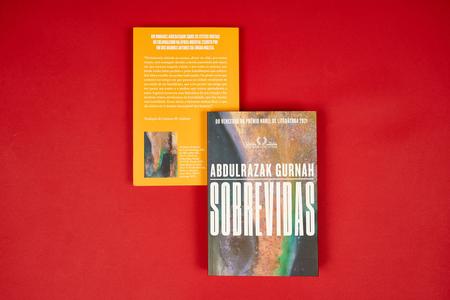 Livro - Sobrevidas - Livros de Literatura - Magazine Luiza