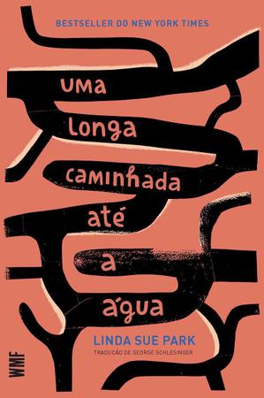 Imagem de Livro - Uma longa caminhada até a água