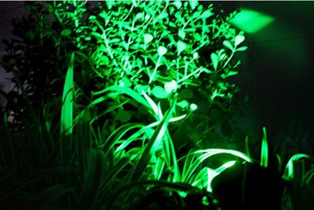 Imagem de Luminária Espeto Spot Solar Externo Led 20 Lumens Verde Ecoforce