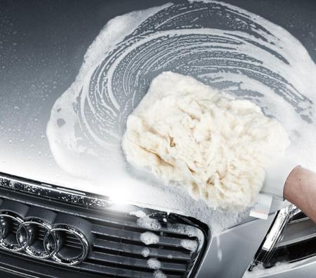 Imagem de Luva de lã para lavar e encerar carros Multiuso