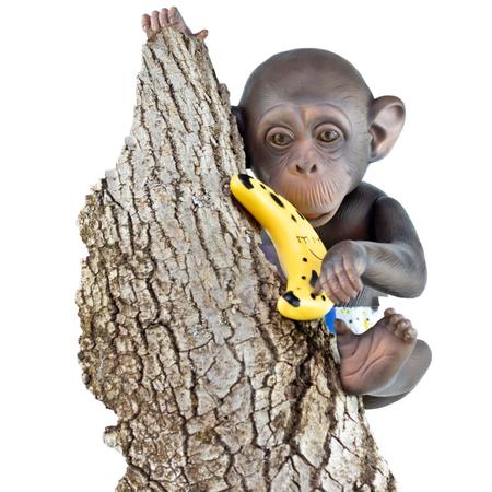 Compilação Macacos Fofos e Engraçados #02 - Bebê macaco 😍😆, Compilação Macacos  Fofos e Engraçados #02 - Bebê macaco 😍😆, By Bebê macaco Natureza
