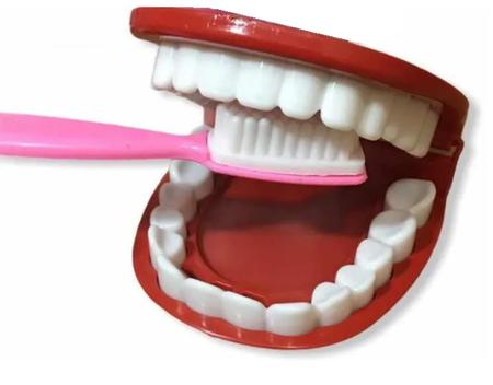 Maleta Kit Dentista Infantil Dentista 4 Peças Rosa Pakitoys :  : Brinquedos e Jogos