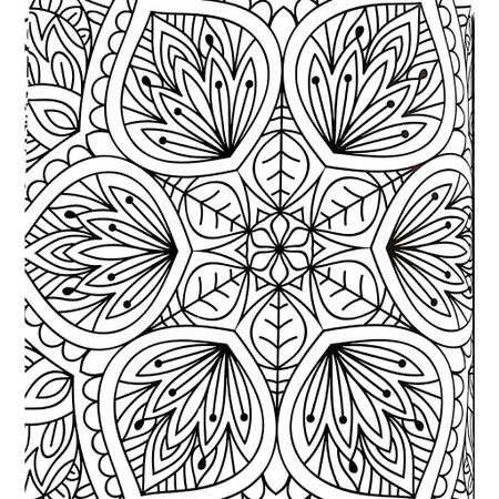 MANDALAS FLORAIS- LIVRO DE COLORIR - Raul Livros