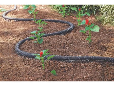 Imagem de Mangueira transpirante em pvc para jardim de 1/2 com 20 metros tramontina