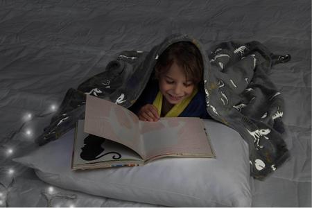 Imagem de Manta Cobertor de Sofá Infantil Dinossauros Brilha no Escuro Fleece Lepper