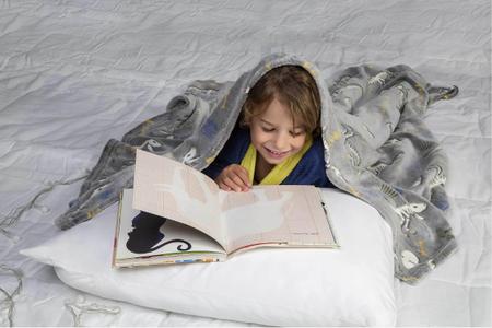 Imagem de Manta Cobertor de Sofá Infantil Dinossauros Brilha no Escuro Fleece Lepper