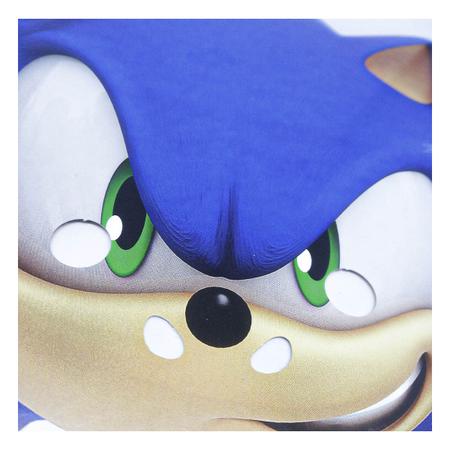 Fantasia Sonic Knuckles Echidna Infantil Com Máscara Longo na