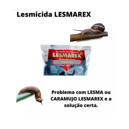 Imagem de Mata Lesma e Caramujo Africano Lesmicida Lesmarex 250g