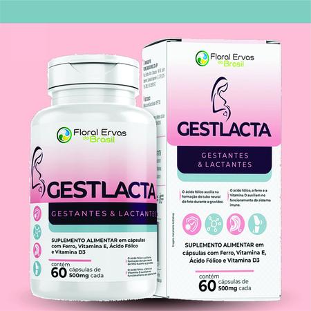 Imagem de Mater Gestlacta Acido Folico  Ferro 60 cápsulas  500 mg