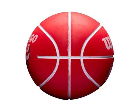 Bola de Basquete Wilson Mini NBA Dribbler