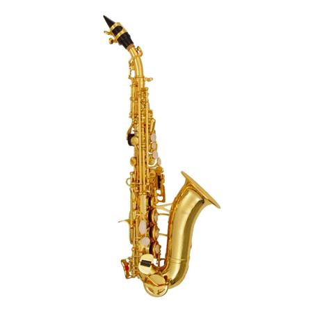 Imagem de Mini Saxofone Soprano Eastman 2884 - CSR