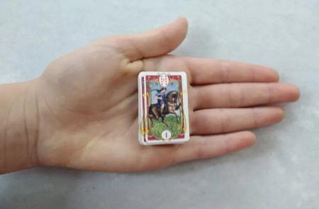 Baralho Cartas Ciganas Santa Sara -gratis Um Mini Baralho