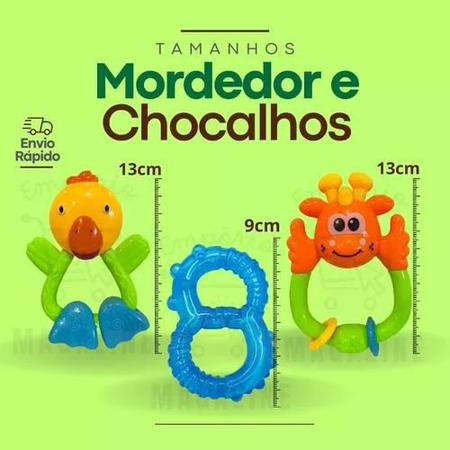 Mordedor Para Bebê Com Água e Chocalho Baby - Zize Trekos - Artigos para  crianças e bebês