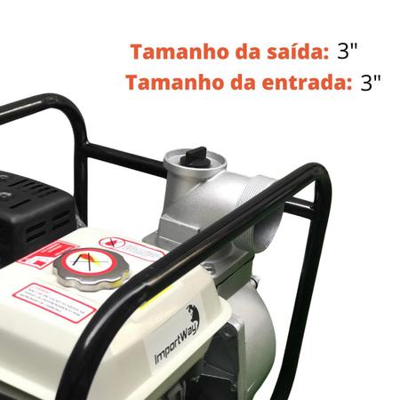 Imagem de Motobomba à Gasolina 3 x 3 Pol 6.5 HP 4T Importway