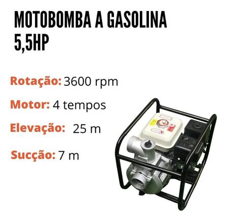 Imagem de Motobomba A Gasolina 5,5Hp Cavalos Iwmbg4T55