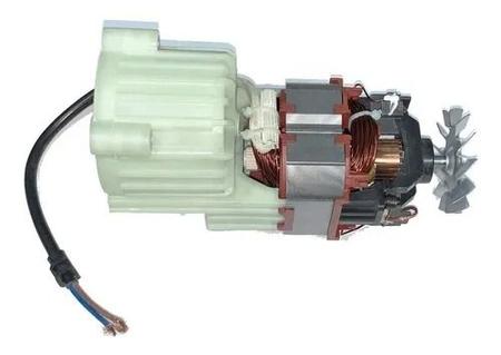 Imagem de Motor Lavadora Electrolux 127V EWS31