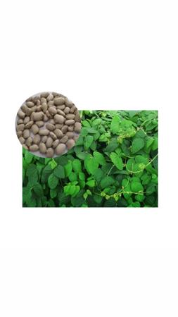 Imagem de Mucuna Cinza- 5kg