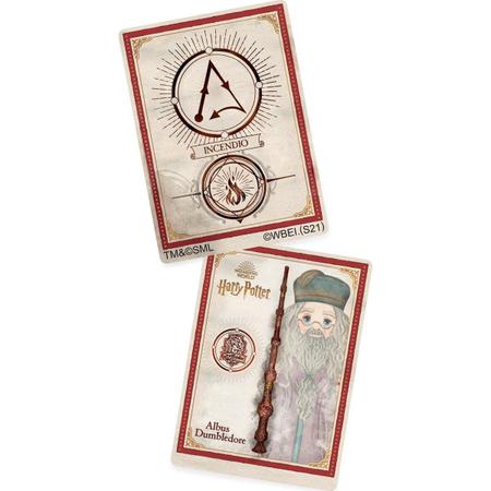 Harry Potter Varinha Mágica c/ Cartão de Feitiço 30cm - Shoptoys Brinquedos  e Colecionáveis