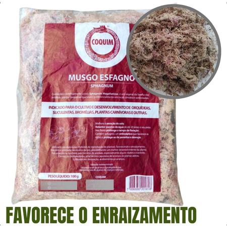 Imagem de Musgo De Esfagno (sphagnum) Ouro Fertil 100 G Rf 4011 Kit 3