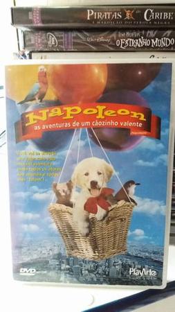 napoleon as aventuras do caozinho valente dvd original lacrado - playarte -  Filmes - Magazine Luiza