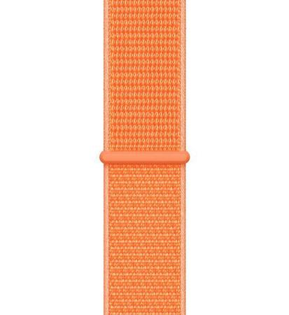Papaya hotsell sport loop