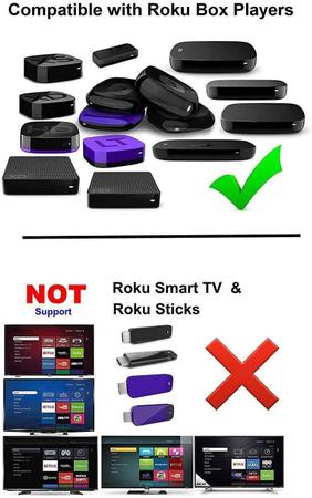 Roku 1