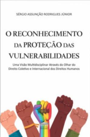 Imagem de O reconhecimento da proteção das vulnerabilidades - EDITORA PROCESSO