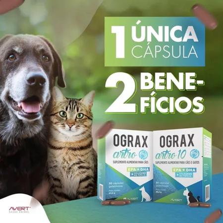 Imagem de Ograx Artro 10 Suplemento alimentar para cães e gatos kit combo com 2