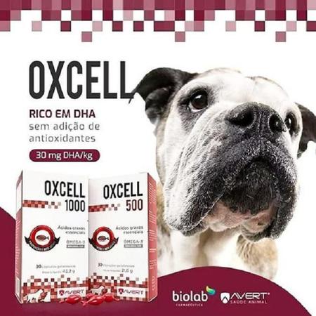 Oxcell 500 - Avert - Vitaminas e Suplementos para Pet - Magazine Luiza