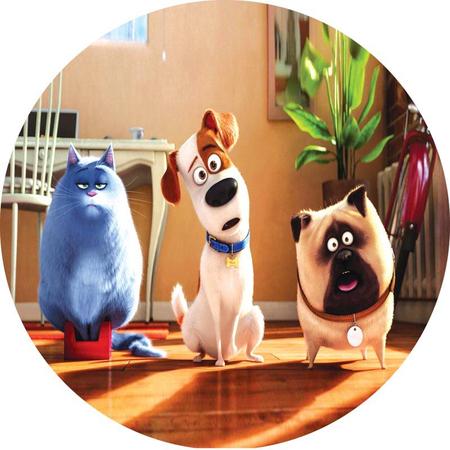 10 coisas para saber antes de ver 'Pets - A Vida Secreta dos Bichos