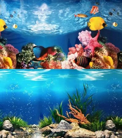 Imagem de Painel para aquário dupla face 80cm x 50cm