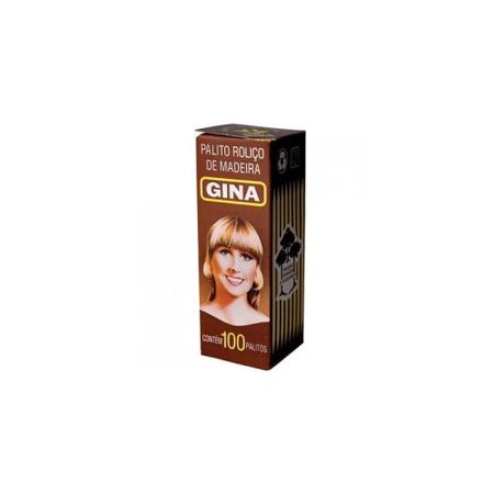 Imagem de Palito De Dente Gina Caixa Com 100 Unid Kit 25