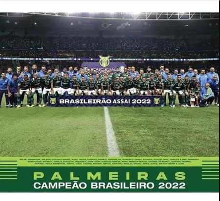 Panini lança álbum com figurinhas e pôster do Palmeiras Campeão Brasileiro  2022 - Dá-Lhe Palestra