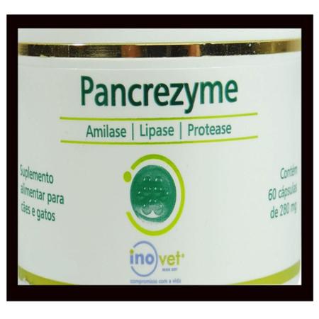 Imagem de Pancrezyme 60 Cápsulas 280Mg Cães E Gatos Inovet Kit Com 5